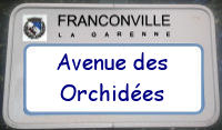 panneau Orchidées